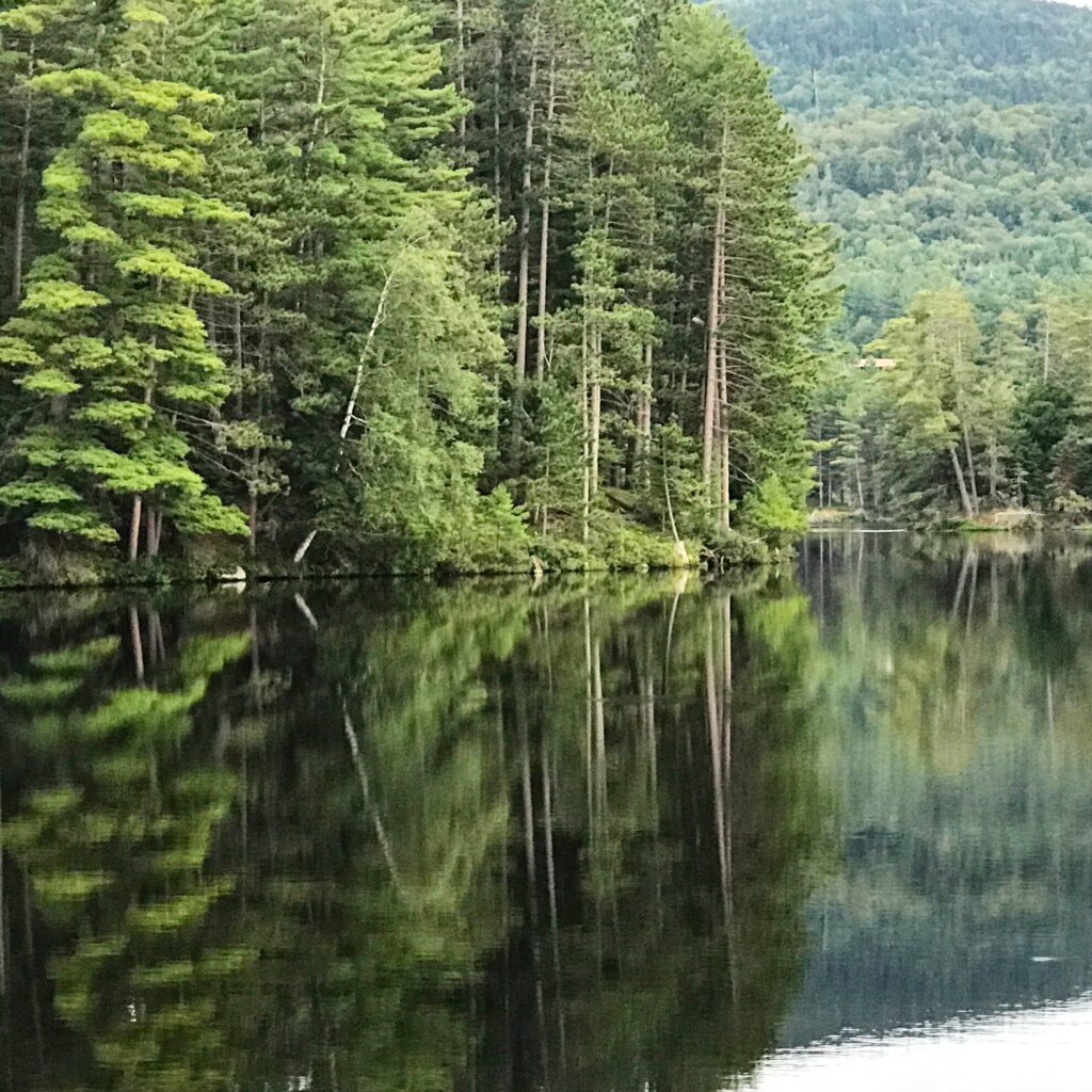 The healing power of nature, Long Lake.