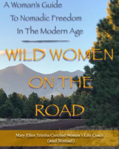 Book: Wild Women On The Road