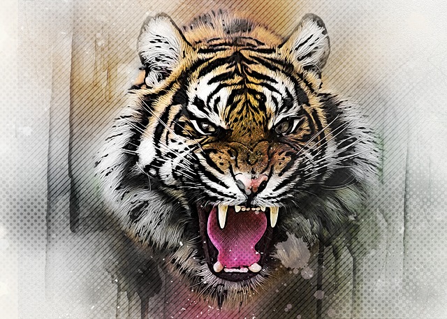 Tame The Tiger – Don’t Get Stuck In Fear